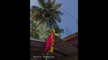 Google Pixel 6a Camera Samples #googlepixel #pixel6a #googlephoto Music track: Magnificent by Pufino