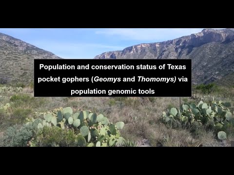 वन्यजीव विविधता वेबिनार | टेक्सास पॉकेट गोफ़र्स की स्थिति
