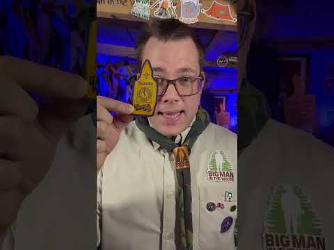 Brownie Badges Meaning