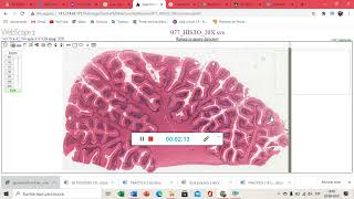 webscope neurociencias