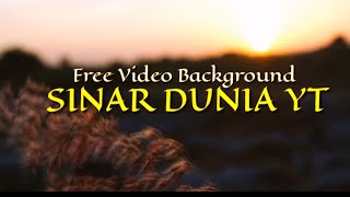 Free Video Background || Sunset Senja Keindahan Alam