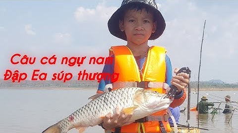 Chuyến đi kỳ thú|Câu cá ngự nam đập Ea súp|cảnh đẹp không thể quên của Hòa đại nhân