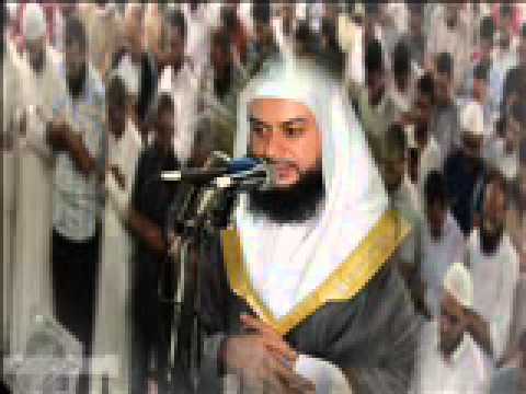 الشيخ حاتم فريد 49سورة الحجرات من صلاة التراويح 