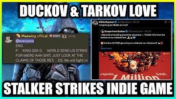 Stalker and Indie Game DMCA Strike Situation Compared to Tarkov and Duckov Situation