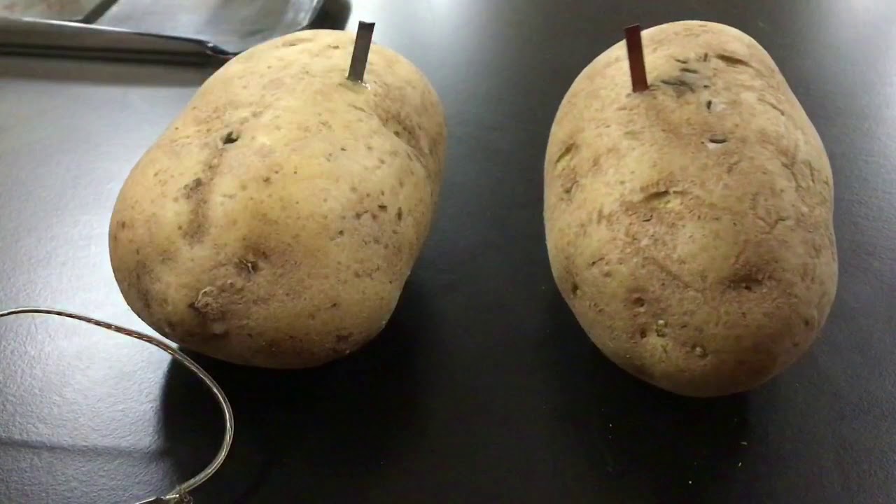 Potato Science Experiment How to make a Potato Powered Clock YouTube