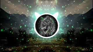 R3hab & Headhunterz - Won't Stop Rocking