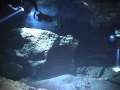 Wakulla springs florida cave dive