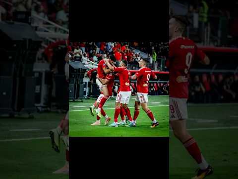 أهداف مباراة الأهلي وشبيبة القبائل 4 1 ملخص مباراة الأهلي اليوم Football الاهلي Goal