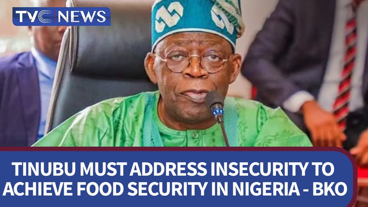 Tinubu Must Address Insecurity To Achieve Food Security In Nigeria ...