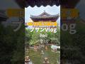 韓国🇰🇷【プサンVlog②】慶州で世界遺産とグルメを堪能！#韓国 #釜山　#慶州 #korea #shorts