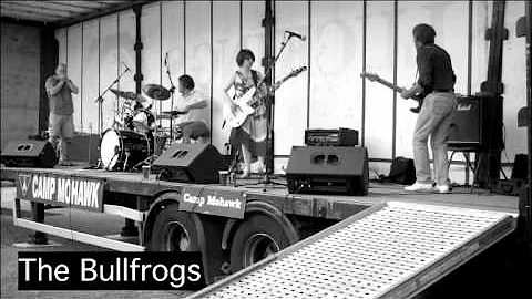 Shadow Play - The Bullfrogs 2014
