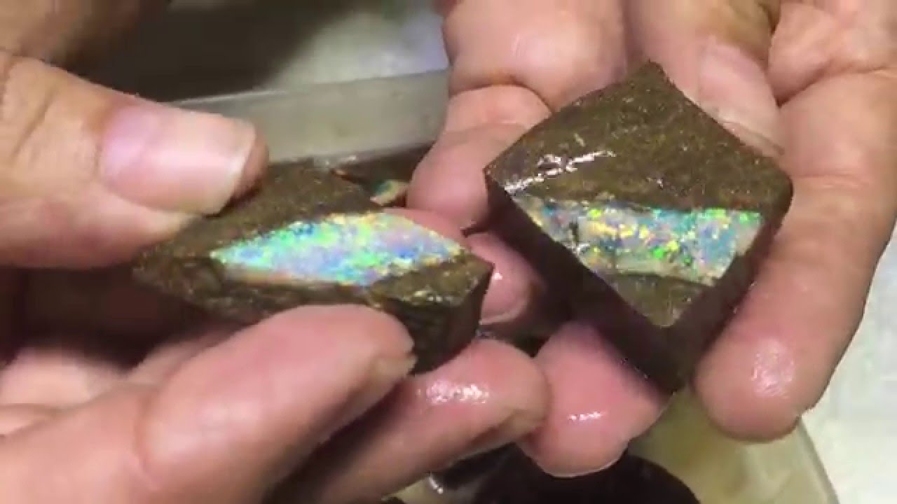 rare parcel of opalized
