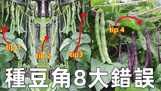 8 Bean Growing Mistakes to Avoid 避免豆角種植8大錯誤, 小空間也有大收穫, 整個夏天摘不完