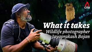 What It Takes: Top wildlife photographer Jayaprakash Bojan