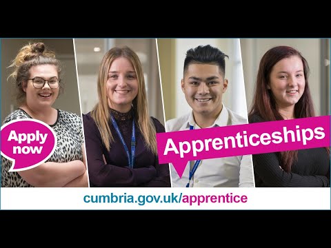 Cumbria County Council Apprenticeships - ICT