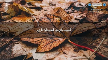 صوته ينسيك الدنيا لعذوبة صوت القارئ !! تلاوة هادئة || سورة طه - كاملة - القارئ انس محمد #subscribe
