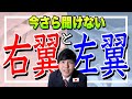 【解説】右翼と左翼って何?自民党は実は左翼政党!?今さら聞けないシリーズ