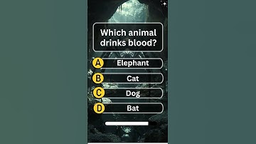 Gk questions in English |  | Trivia game questions | English Quiz Game