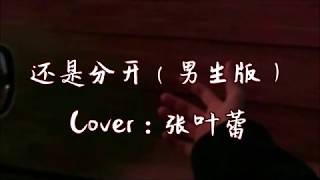 罗之豪 - 还是分开（Cover：张叶蕾）【我和你猜了又猜 想过再想 决定分开 为什么我们的结局还是没有例外】男生版本超好听~動態歌詞Lyrics~