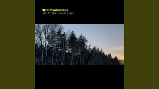Life at the Forest Edge (Radio Edit)