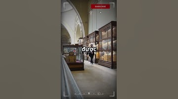 Xác Ướp 2500 Năm Mở Mắt? 👁️ Sự Thật Hay Giả Tưởng?