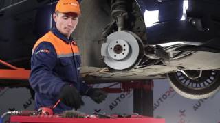 Montáž Brzdová platnička BMW 7 (E65, E66, E67): video zadarmo