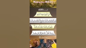 سورة ال عمران بصوت الشيخ سعد الغامدي