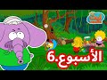 عطلة فلافيلو الرائعة الأسبوع 6