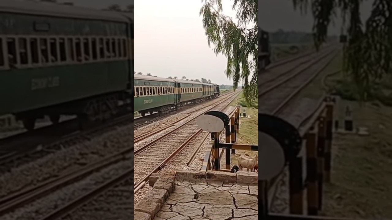 Lovely sounds and speed of Awam Express