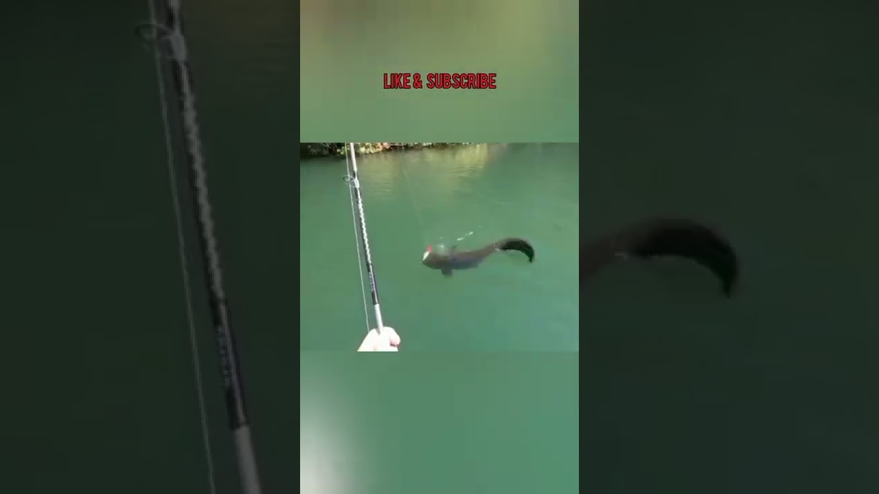 Mancing Ambyar Terbaru 2022 