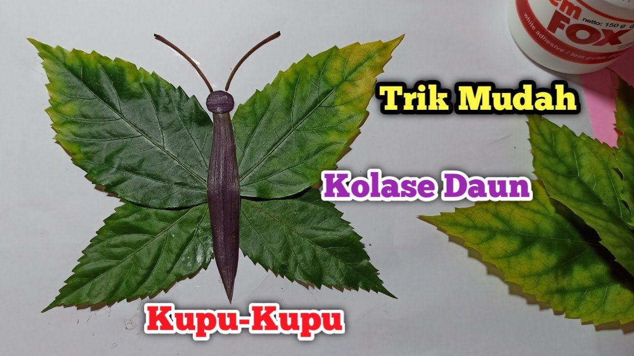  Kolase  Dari Daun  Bentuk Kupu  Kupu  Cara Mudah Cepat Dan 