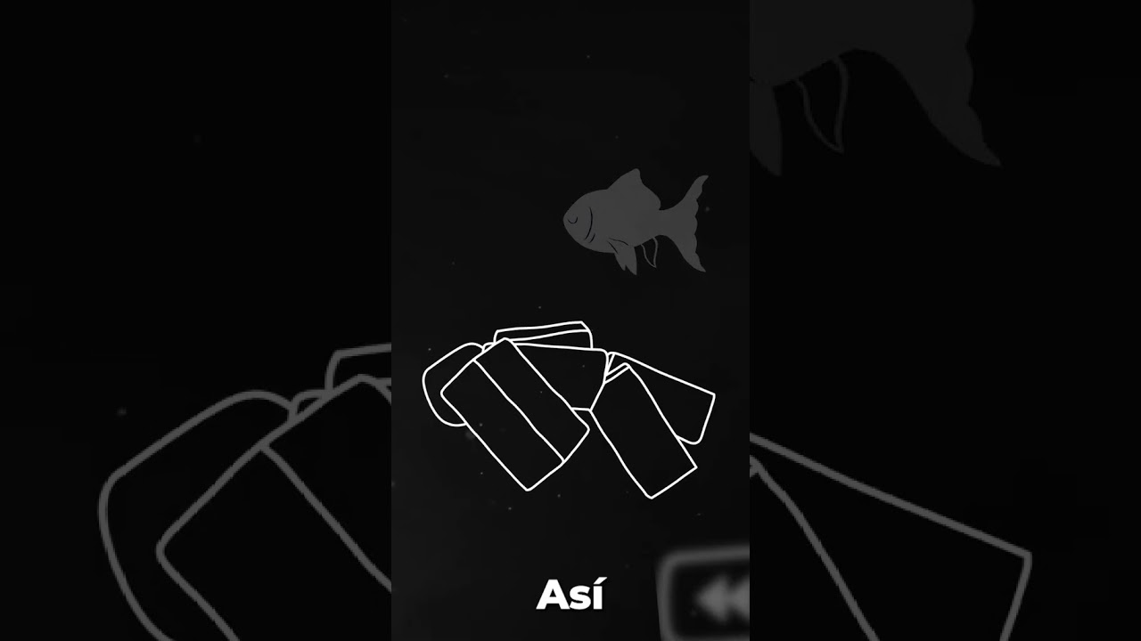 Si juegas Roblox, tienes que ver esto. #roblox