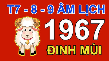 Xem Tử Vi Tuổi Đinh Mùi 1967 Tháng 7 8 9 Năm 2022 Âm Lịch Nhâm Dần