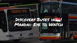 Discovery Buses in Singapore! #18 - Mandai Bus Route, What To Take Note Of? screenshot 3
