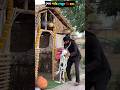 কি আজব ঘটনা😲#shorts#viral#trending