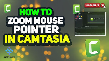How to zoom mouse pointer in camtasia 2025