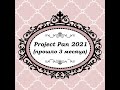 Projet Pan 2021 (Прошло 3 месяца)