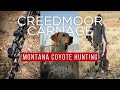 Creedmoor Carnage: Montana Coyote Hunting with Doggin With Levi