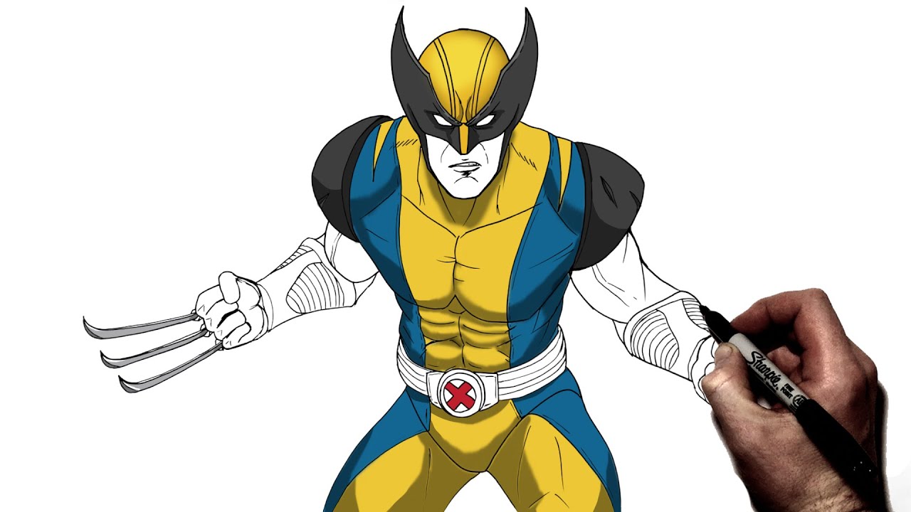 Wolverine SKETCH 2013 by LucasAckerman on deviantART  Marvel art drawings  Drawing superheroes Cartoon drawings