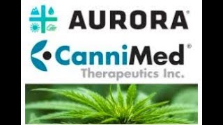 AURORA CANNABIS STOCK ANALYSIS - MARIJUANA STOCKS