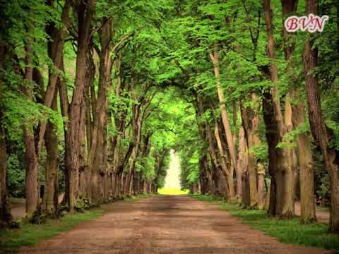 Video DUONG XUA KARAOKE - youtube
