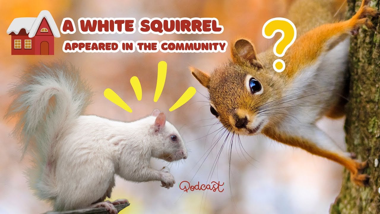 🐿️A white squirrel appeared in the community ？！！！