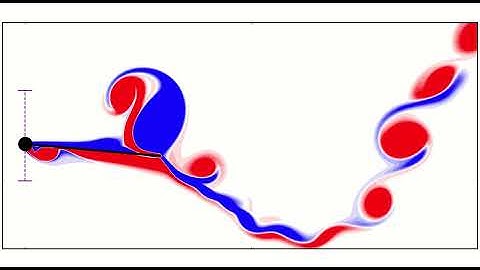 Transient Wake Dynamics of an Isolated Bird Feather of Length 0.6 at a Strouhal Number of 0.2.