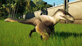 Jurassic World Evolution 2 - Utahraptor Gameplay (PS5 UHD) [4K60FPS]