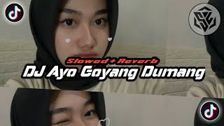 DJ Ayo Goyang Dumang ( Slowed + Reverb )🎧 Terbaru 2023 screenshot 1