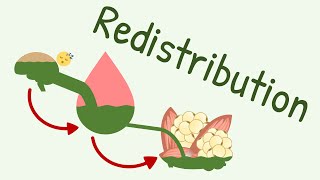 Redistribution Pharmacokinetics