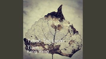 Txhob Tos Lwm Tiam