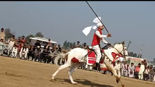 Neeza Bazi in Hafizabad