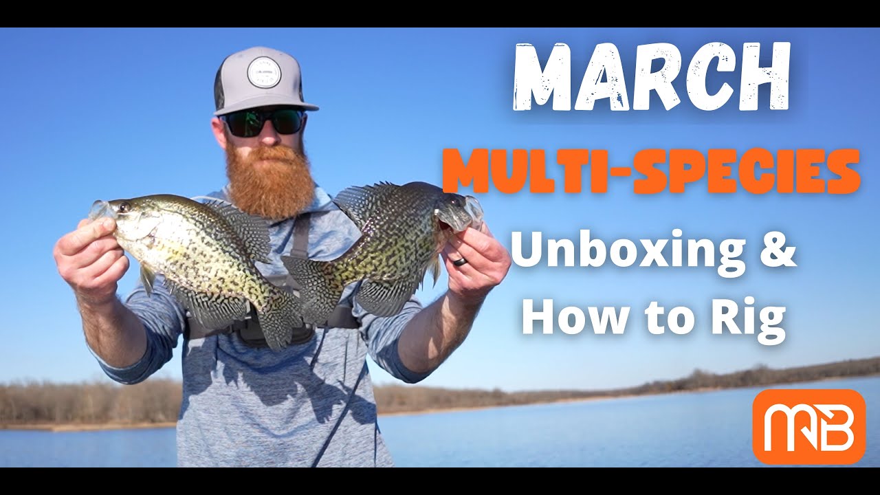 Unpacked: How To Rig And Fish Every Bait in the March Multi