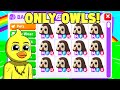 I traded ONLY OWLS (adopt me)